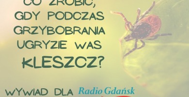 Wywiad z dr n. med. Alicją Mączkowiak